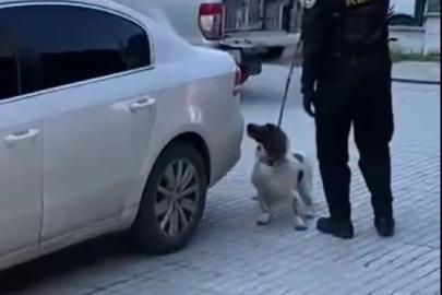 Denizli’de narkotik operasyonunda 6 kilo esrar ele geçirildi