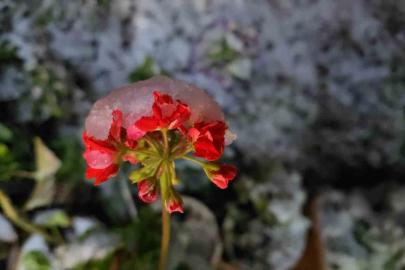 Denizli’ye baharda yağan lapa lapa kar araçları yolda bıraktı
