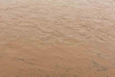 Diyarbakır’da sağanak nedeni ile onlarca koyun telef oldu