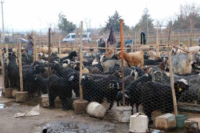 Diyarbakır’da vatandaşlar sofralara bırakacağı eti canlı hayvan pazarından almayı tercih ediyor