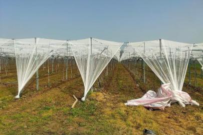 Dolu korkusuna fileli önlem