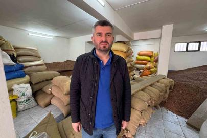 Düşmeye devam eden fındık fiyatını yeni sezon rekoltesi belirleyecek