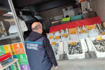 Edirne’de su ürünleri denetimleri sürüyor