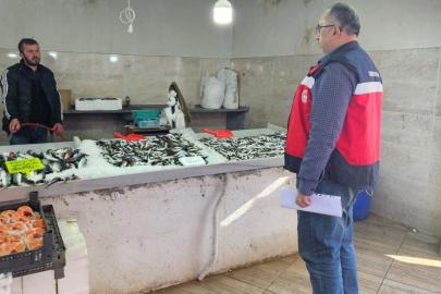 Emet’te balıkçılara yönelik denetim yapıldı