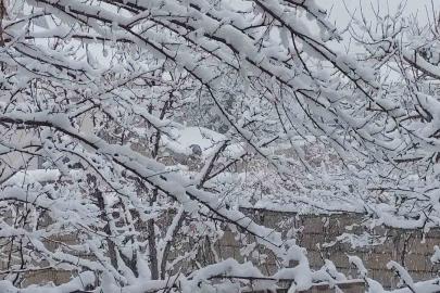 Erciş’te mart ayında kar yağışı