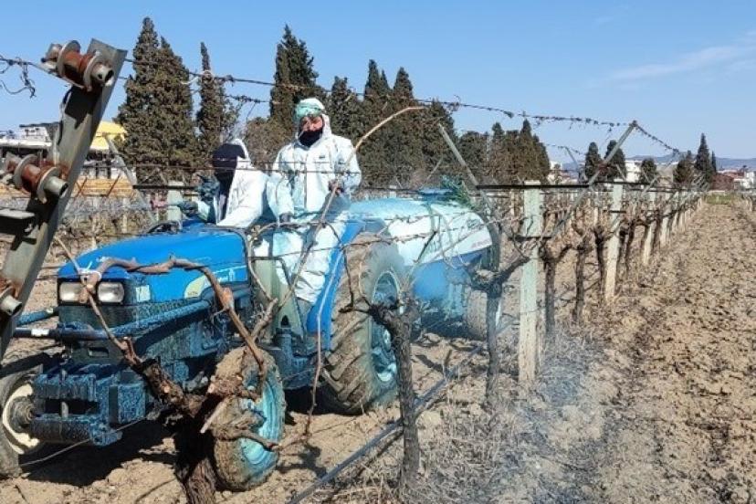 Erzincan Tarım Müdürlüğü’nden bordo bulamacı uyarısı: Uygulama zamanını kaçırmayın