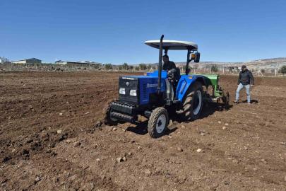 Gaziantep’te nohut ekimi başladı