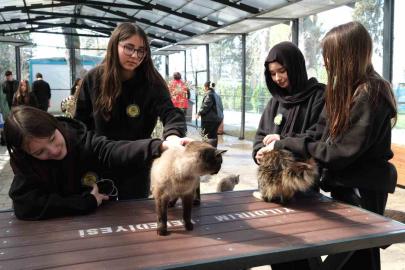 Gençerlerden patili canlara ziyaret