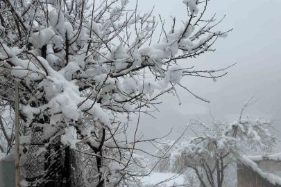 Hakkari’de 82 yerleşim yerinin yolu kapandı