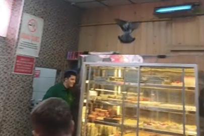 İftarda lokantaya giren güvercin ortalığı karıştırdı