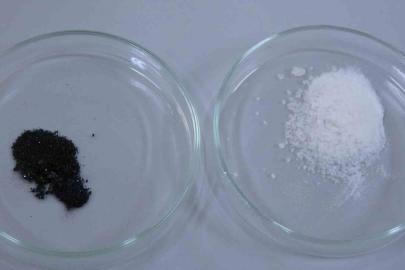 Isparta’da endemik bitkiden doğaya zarar vermeden kanserle mücadeleye umut olacak üretim modeli geliştiriliyor