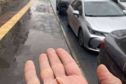 Kamışlı’dan özellikle Nevruz kutlamaları sırasında havaya atılan yorgun mermiler Nusaybin’e düşüyor