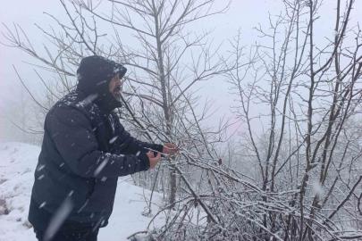 Kar altında kalan fındık bahçeleri, üreticileri tedirgin ediyor