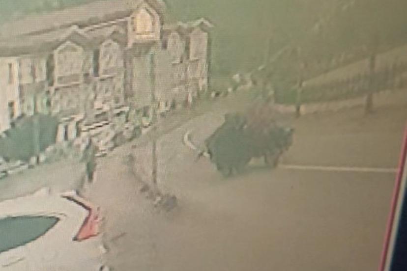 Kastamonu’da lastiği fırlayan tarım aracı takla attı: 1 yaralı