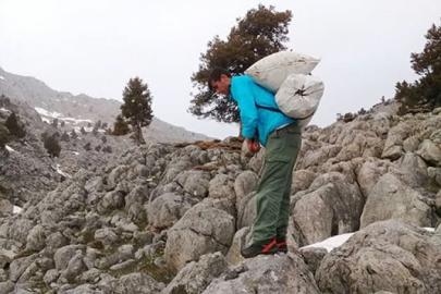 Kayalıklarda yetişiyor, sofralara lezzet katıyor: Çiriş otu