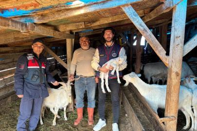 Kaybolan 50 küçükbaş hayvan dron destekli aramayla bulundu