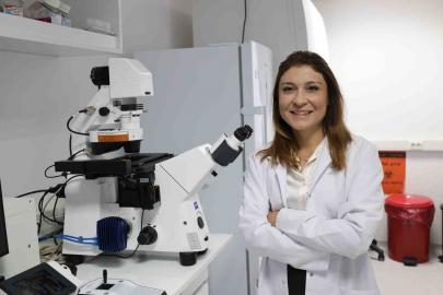 Kemik erimesinin tedavisinde uluslararası iş birliği