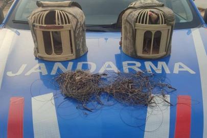 Kırşehir’de kaçak keklik avcıları yakalandı