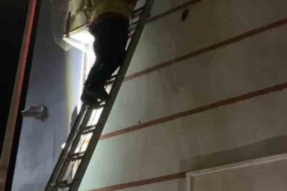 Klima motoruna sıkışan yavru kedi kurtarıldı