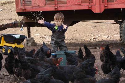 Kocaeli’de çiftçinin yüzünü güldüren destekler rakamlara yansıdı