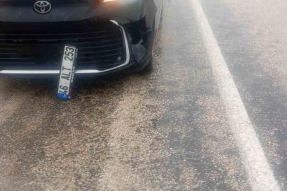 Köpeğe çarpan araç kaza yaptı: maddi hasar oluştu