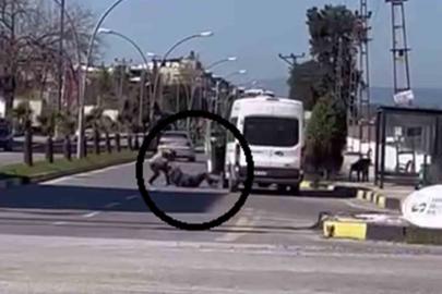 Korku dolu anlar kamerada: Yere yatırdığı minibüs şoförünü defalarca yumrukladı