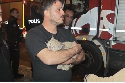 Korkutan yangında mahsur kalan kediyi itfaiye kurtardı
