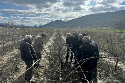 Korkuteli’nde çiftçilere budama eğitimi