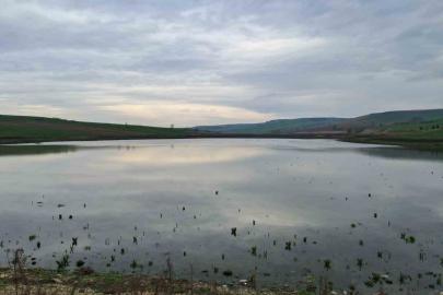 Kuruyan Yeşilsırt Göleti yağışlarla yeniden hayat buldu