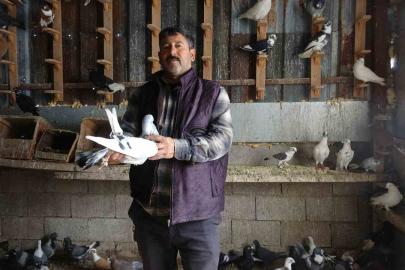 Kuzeninin 7 yaşındayken kendine verdiği güvercinle başlayan hevesini 45 yıldır yaşatıyor