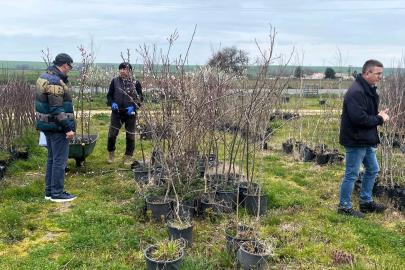 Lüleburgaz’da fidan satış noktalarına denetim