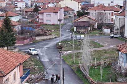 Mahallenin maskotu oldular, baharla birlikte yuvalarına döndüler