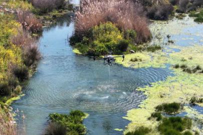 Manisa’da sivrisinek alarmı
