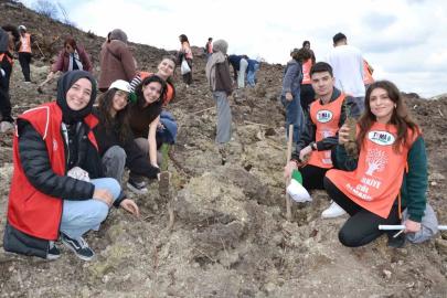 Manisa’da yanan alanlar yeniden yeşeriyor