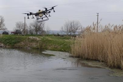 Manyas’ta sivrisinek ile mücadele seferberliği