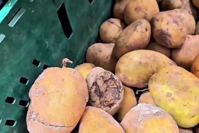 Market raflarında tarihi geçmiş tavuk ve içecek alarmı