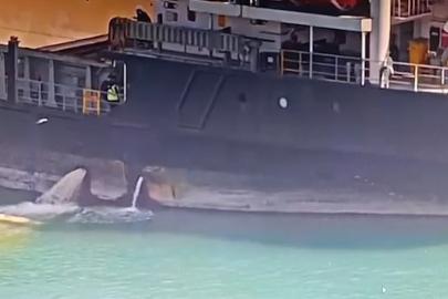 Mersin’de denizi kirleten gemiye 13 milyon TL ceza kesildi, gemi rıhtıma bağlandı