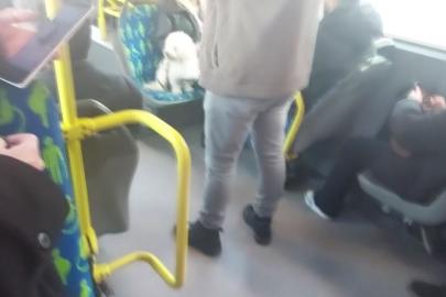 Metrobüste köpek koltukta oturdu, sosyal medyada tartışma başladı