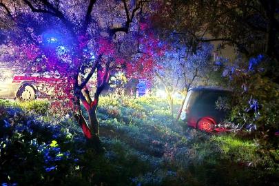 Mudanya’da kazadan kaçan sürücü zeytinliğe daldı