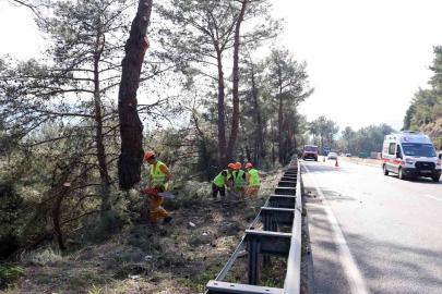 Muğla’da yangın sezonu öncesi Sakar Geçidi’nde riskli dallar temizleniyor