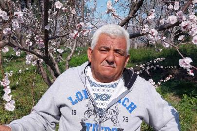 Mut’ta kayısı ağaçları adeta gelinliğe büründü