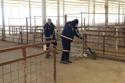Nazilli Hayvan Pazarı 7 ay sonra yeniden açılıyor