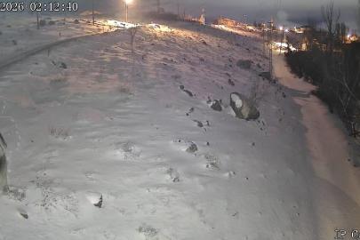 Niğde’de aç kalan kurtlar köye indi