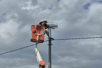 Ölüm hattıydı, yuvalara dönüştü: Bini aştı