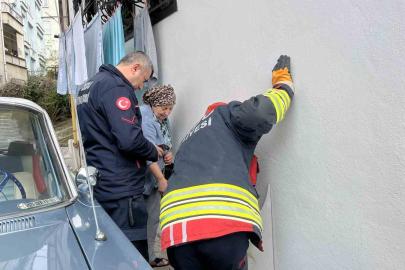 Ordu’da bodrum kattaki kedi sesi ekipleri harekete geçirdi