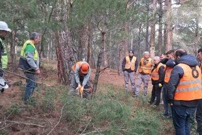 Orman işçileri Kazdağları’nda sınav için ter döktü