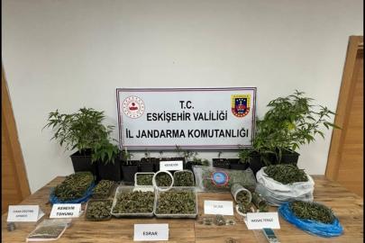 Ormanda uyuşturucu ticaretine jandarma engeli: 1 tutuklama