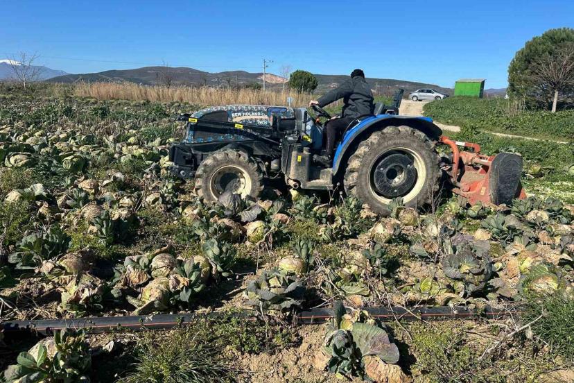 Pazarda 70 lira ama yüzbinlercesi tarlada çürüdü: Üreticiler Tarım Kredi’ye çağrı yaptı