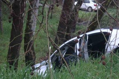 Pendik’te virajı alamayan sürücü ağaca çarptı