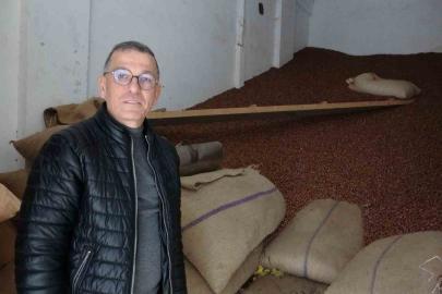 Ramazan Bayramı öncesi fındık fiyatları 240 liraya geriledi